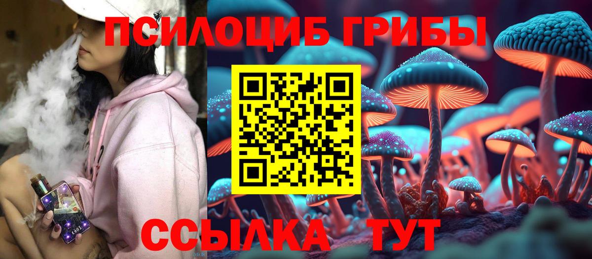 цена наркотик  Вход с VPN  Кинель  Галлюциногенные грибы мухоморы 