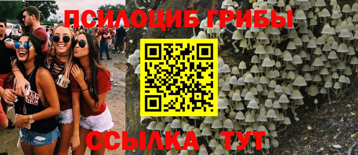 Псилоцибиновые грибы Psilocybine cubensis Кинель